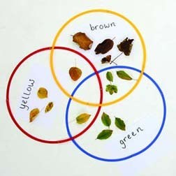 Desktop Sorting Circles Pack of 15