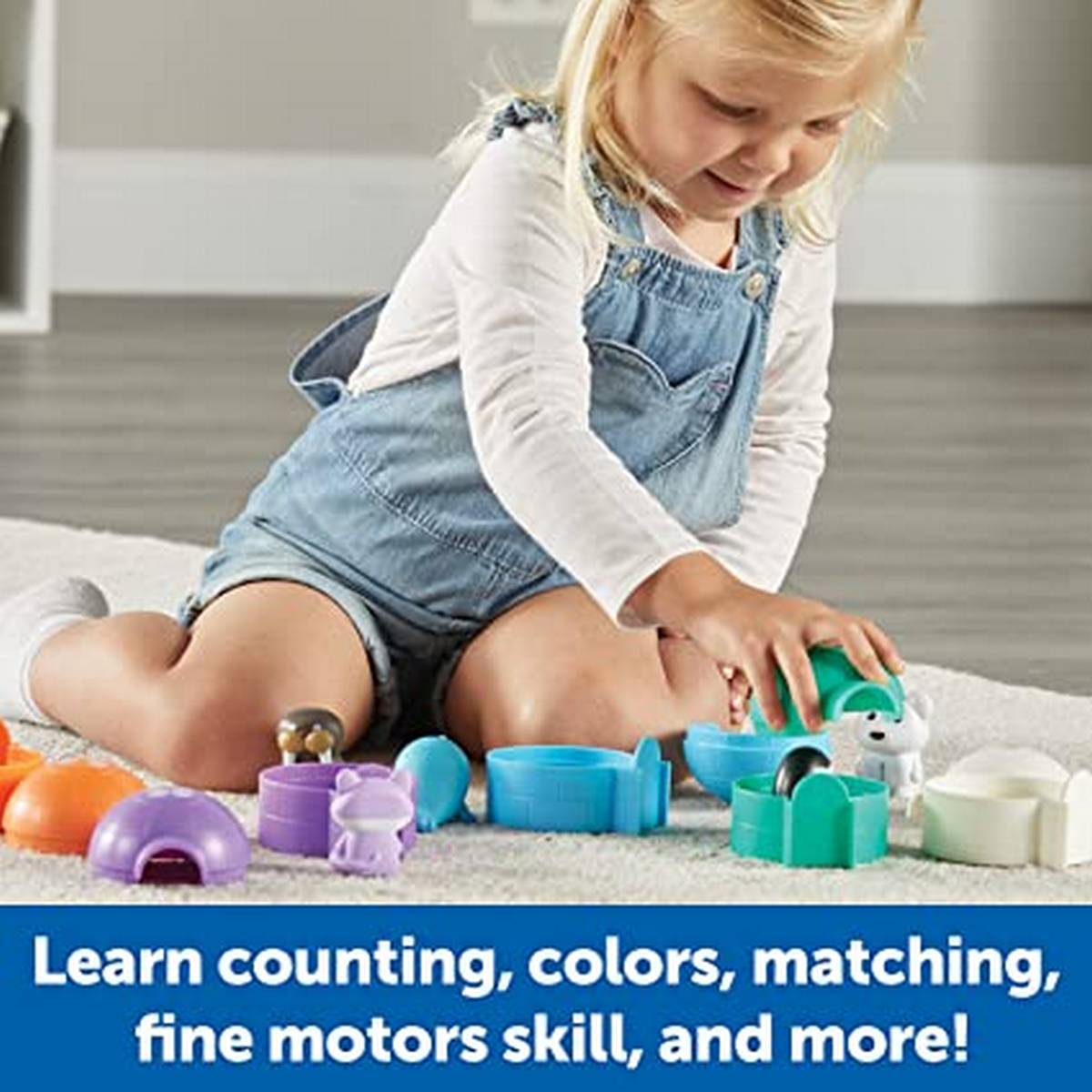 Sort & Seek™ Polar Animals