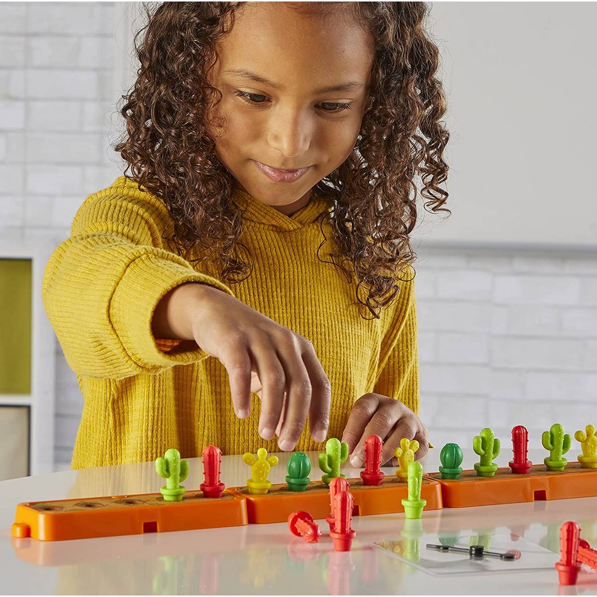 **Cactus Counting Desert Activity Set