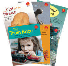 **Alphakids Plus Emergent Level 8