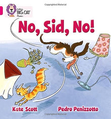 **Big Cat Pink 1B No Sid No Fiction