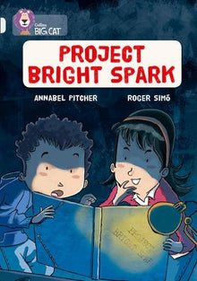 **Big Cat Diamond Project Bright Spark