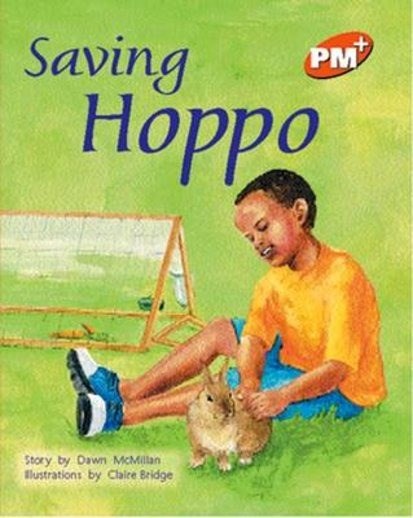 **Pm+ Orange 15 Saving Hippo