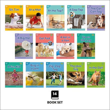 Dandelion World Stages 1-7