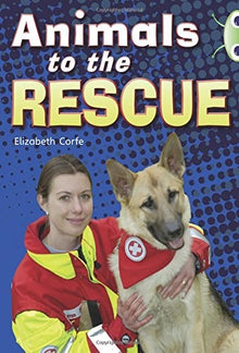 Bc Gold B Animals To The Rescue Nf Rr22