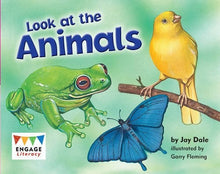**Big Cat L2 Look At The Animals Engage Pink L2
