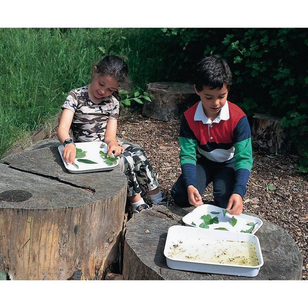 Collecting Tray 310X240X20Mm