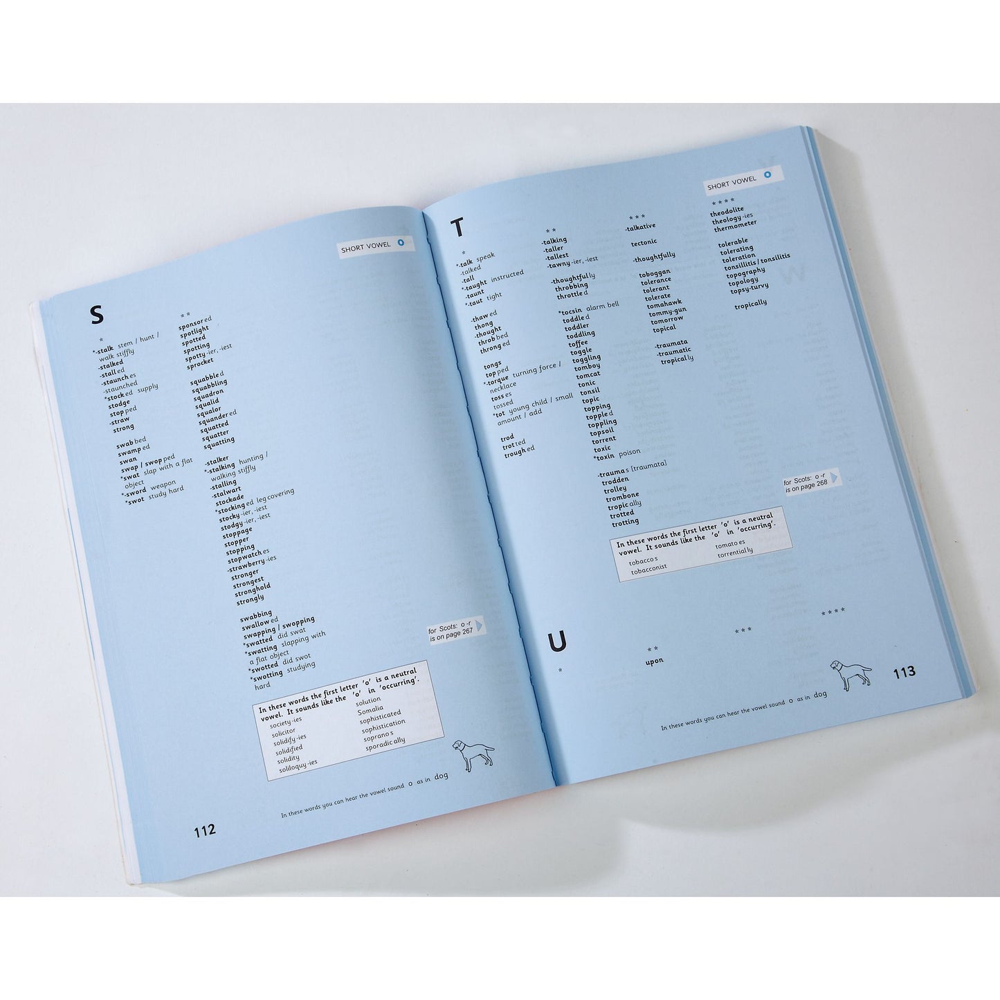 LDA Ace Spelling Dictionary