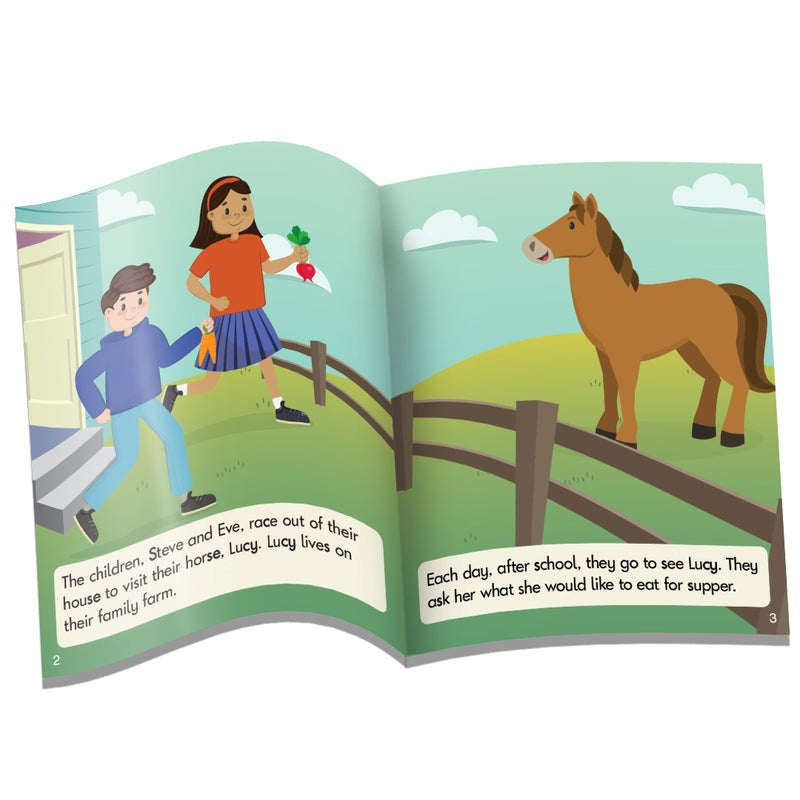 Letters & Sounds Phase 5.5 Fiction Sound Families Consonants