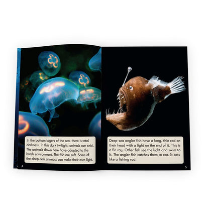 Letters & Sounds Real World Non-Fiction Hi-Lo Decodables Phase 5 - 6 Pack