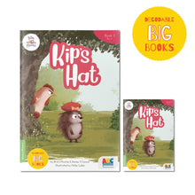 BiDee Phonics Decodable Readers Series 1 Phase 1 Big Books (5 Books)