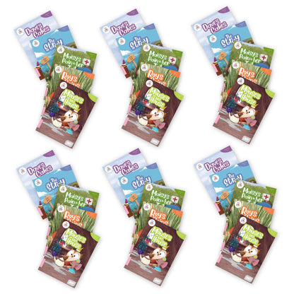 BiDee Phonics Decodable Readers Series 2 Phase 2  - 6 Pack