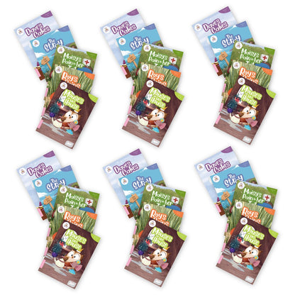 BiDee Phonics Decodable Readers  Series 2 Complete Classroom Kit (120 Books)