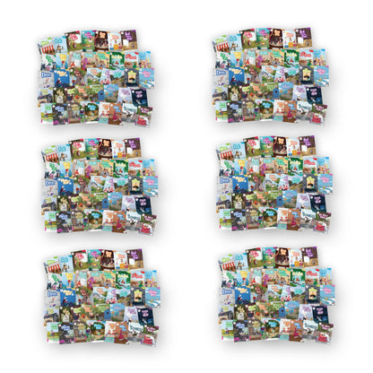 BiDee Phonics Decodable Readers  Series Complete Classroom Kit Series 1 & 2 (300 Books)