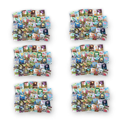 BiDee Phonics Decodable Readers  Series Complete Classroom Kit Series 1 & 2 (300 Books)