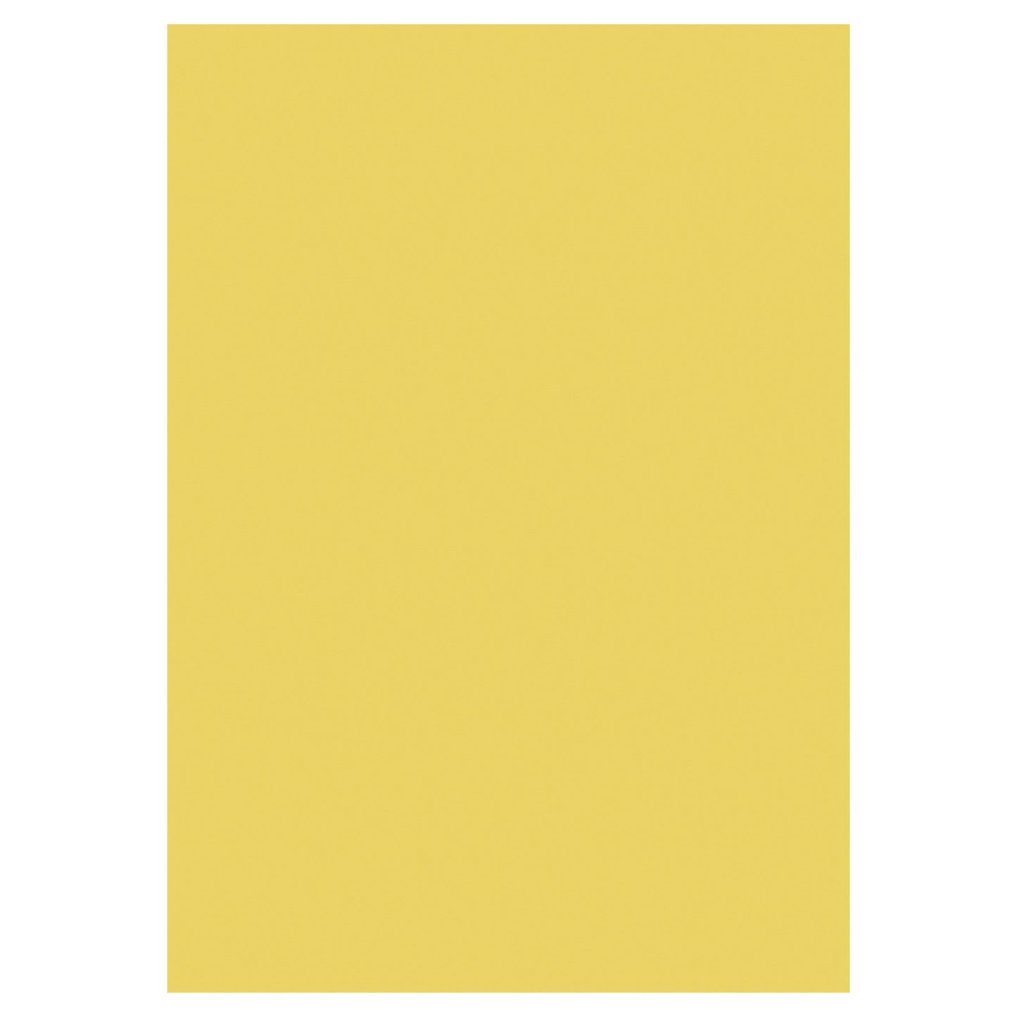 Premier A2 160gsm Fluorescent Neon Card (Pack of 20)