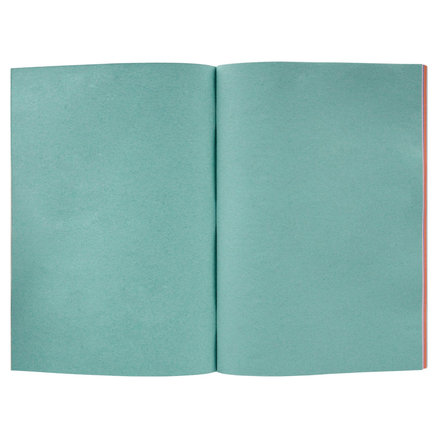 Premier Activity A4 80Pg Scrapbook