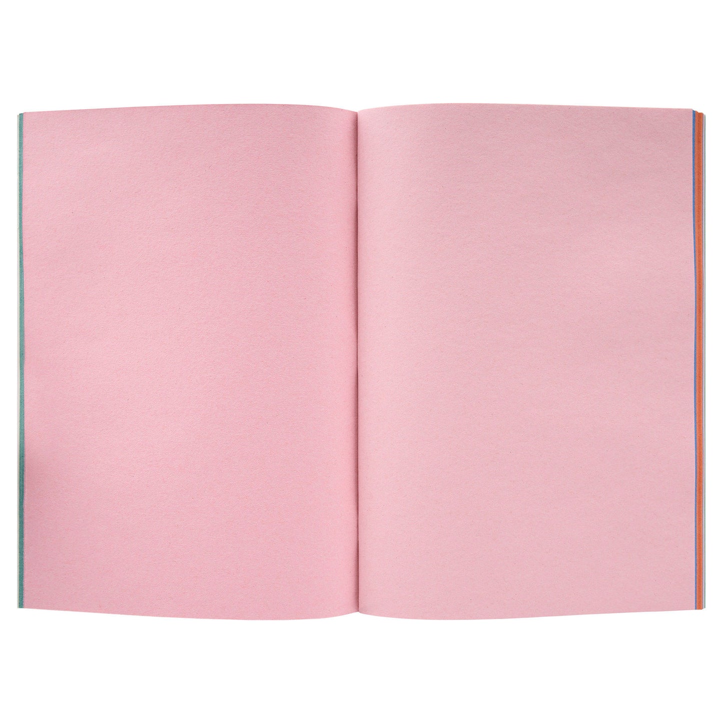 Premier Activity A4 80Pg Scrapbook