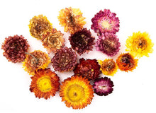 **Dried Flower Heads (75gms)