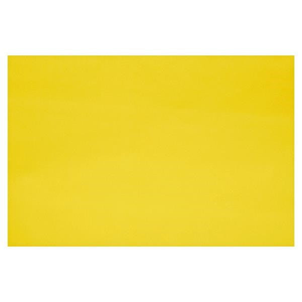Fadeless Display Rolls 1.2M X 3.7M Sunshine Yellow