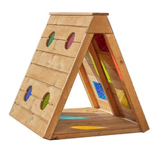 Cosy Crawl Through Forest Fern