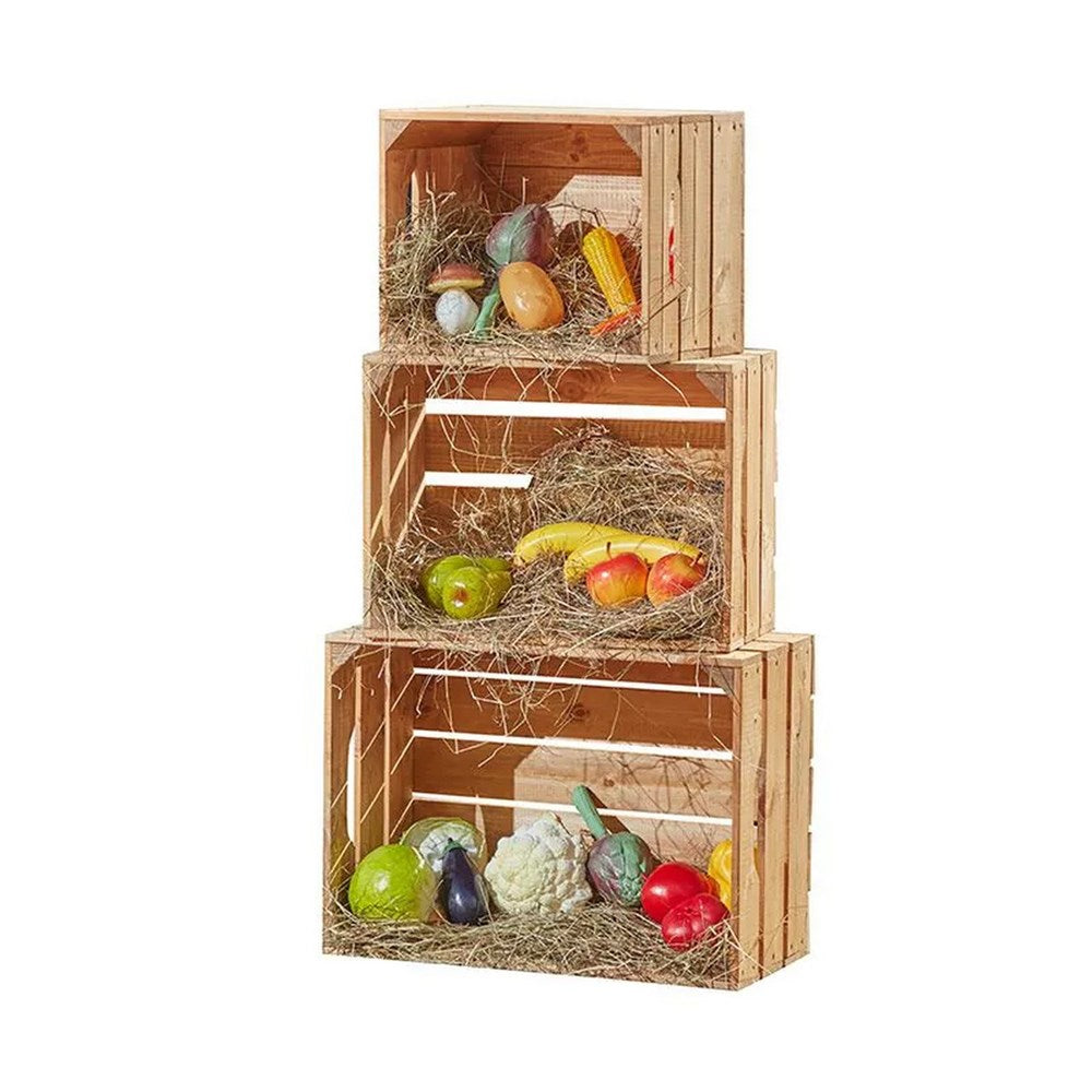 Nesting Curiosity Crates - Set of 3