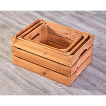 Nesting Curiosity Crates - Set of 3