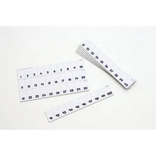 Numicon: Card 1-100 Number Track
