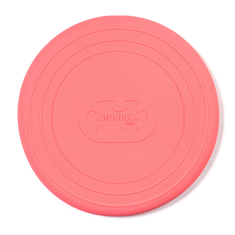 Coral Pink Foldable Flyer