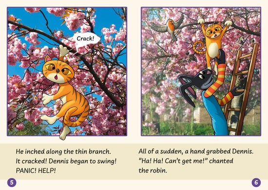 Dandelion Launchers Pack 5 (Sets 16-20) 10 Titles - 6 Pack