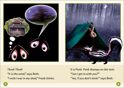 Dandelion Readers, Set 2 Units 11-20 (10 Titles)