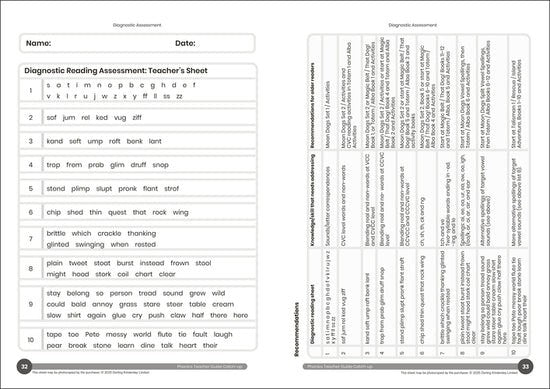 Dandelion Catch-up Readers Teacher Guide
