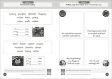 Dandelion World Stages 16-20 Workbook