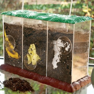 Learning Resources Now You See It, Now You Don't™ See-Through Compost Container