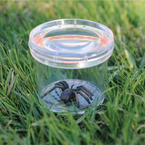 Learning Resources Geosafari Jr. Bug Viewer Jar