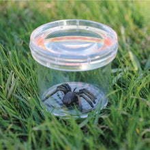 Learning Resources Geosafari Jr. Bug Viewer Jar
