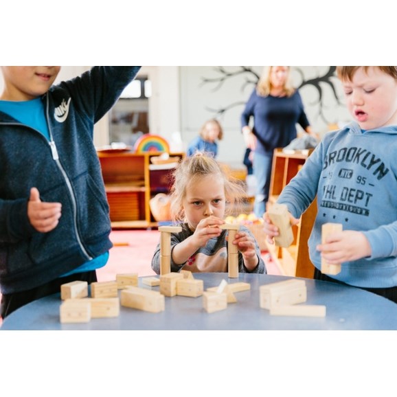 Freckled Frog Magnetic Wooden Blocks Pack of 30