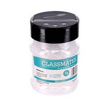 Classmates Snow Shaker