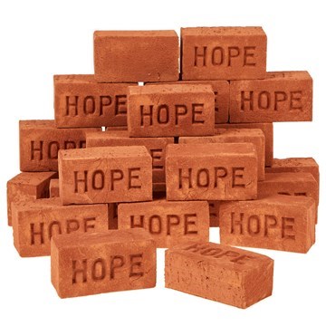Real Mini Bricks