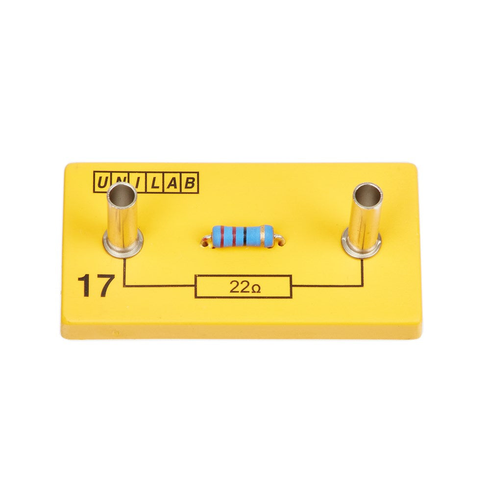 Bek 22R 2W Resistor