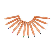 Classmates Half Size Colouring Pencils - Pack of 12