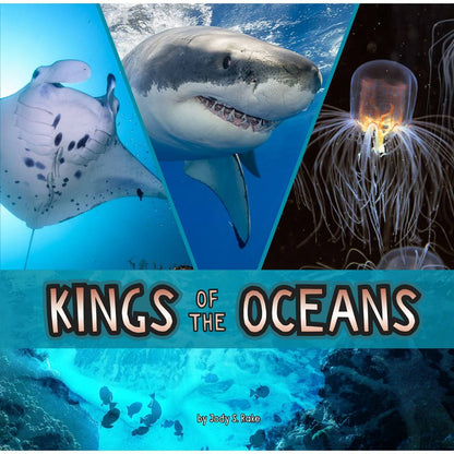 Snail And The Whale Travelling Tales