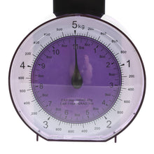 Mechanical Scales Purple