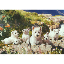 Westies - 1000 Piece Jigsaw Puzzle
