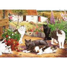 Cool Cats - BIG 500 Piece Jigsaw Puzzle
