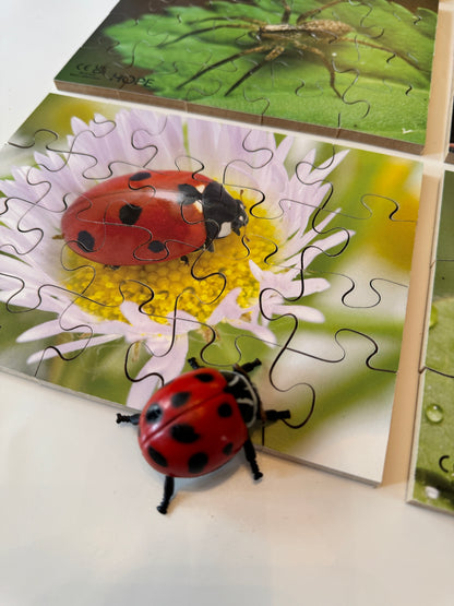 Mini Beasts Puzzles Pack of 12