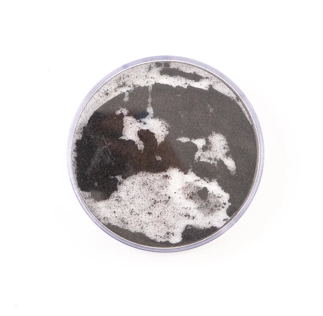 Round Iron Filings Bubble Pack of 10