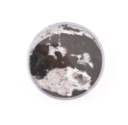 Round Iron Filings Bubble Pack of 10