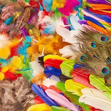 **Super Saver Feather Classpack