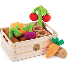 Learning Resources Plush Vegetable Garden